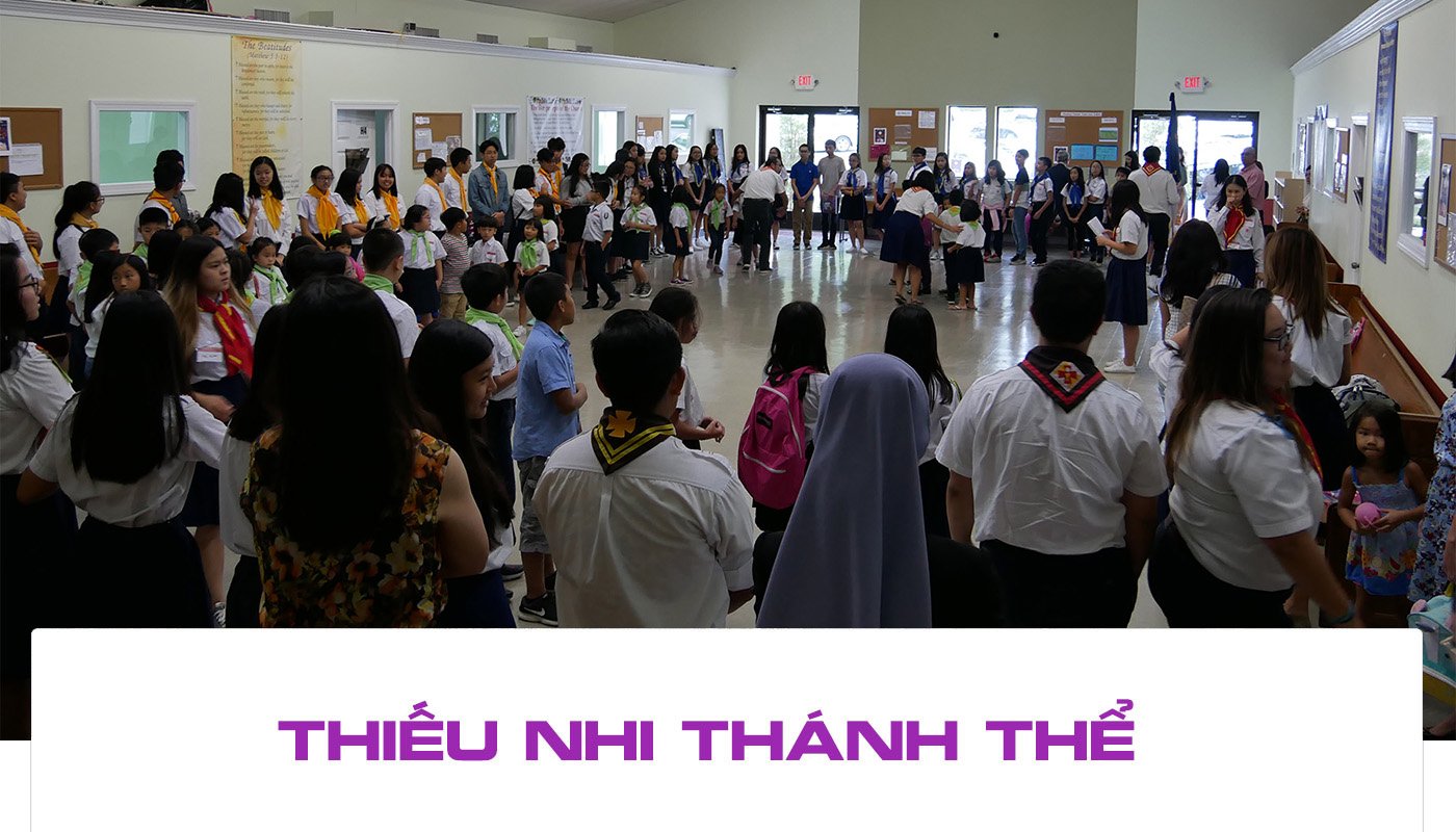 Thiếu Nhi Thánh Thể Đoàn Don Bosco TNTT